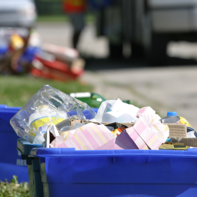 20240815_Iconos_Asoecore (11)